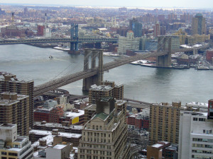 will and probate law practice in ny